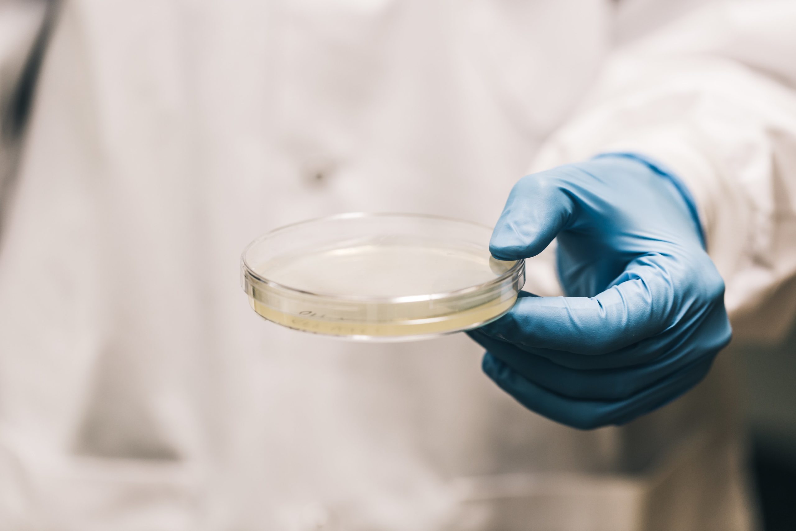 BIDEA LAB